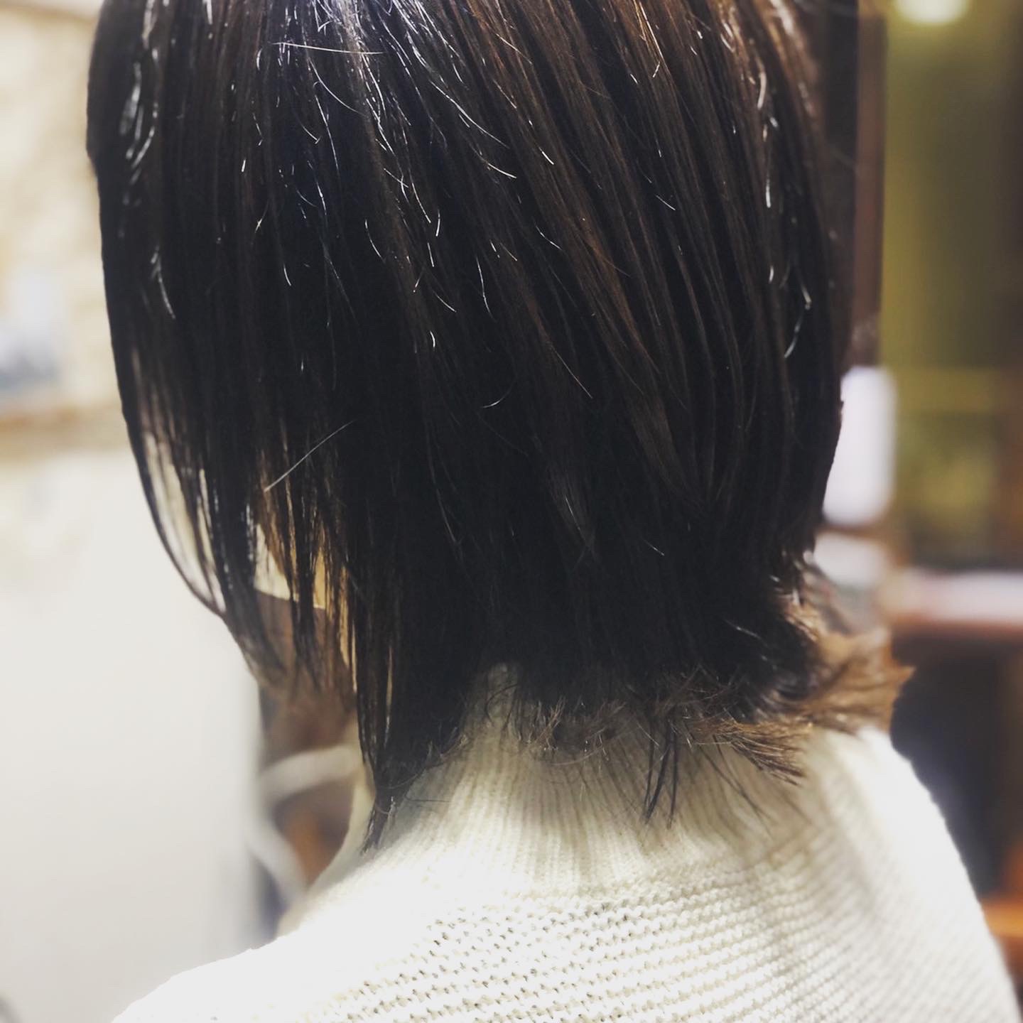 春に向けてばっさりカット